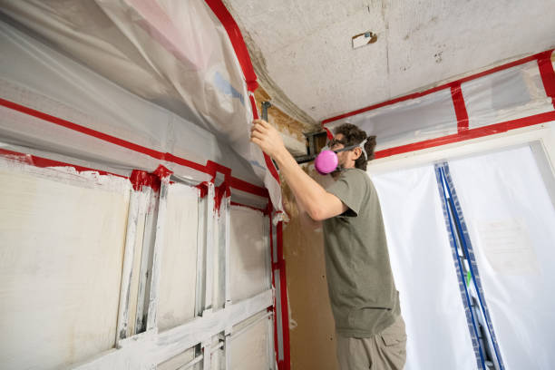 Best Asbestos and Lead Testing During Mold Inspection  in Brookdale, CA