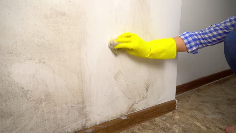 Best Post-Remediation Verification Testing  in Brookdale, CA