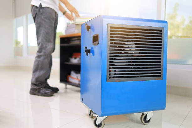 Professional Mold Removal in Brookdale, CA