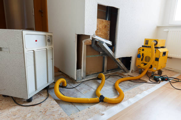 Best Mold Odor Removal Services  in Brookdale, CA