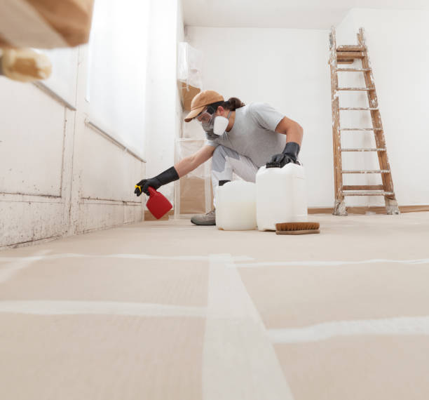 Best Black Mold Removal  in Brookdale, CA