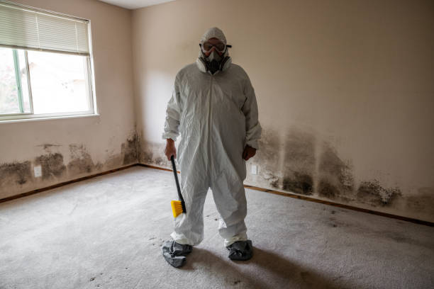 Best Emergency Mold Remediation  in Brookdale, CA